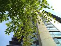 501 Pacific Street, Yaletown Streetscape by Mike Stewart