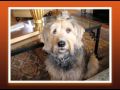 It's Todd's Show Ep31 LIFE COACH & ZEN TREATS GOOD KHARMA