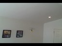 E-flite Blade MCX Indoor Flight