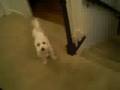 videos de Jalck eps. 2