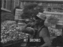 300 ANOS DE ZUMBI MTV ANHANGABAU