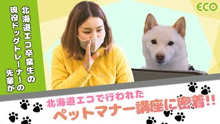 北海道エコ　Youtube Pickup!