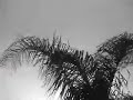 Strong storm 4-30-07
