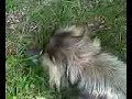 Video from My Phone (0713071547.3g2)