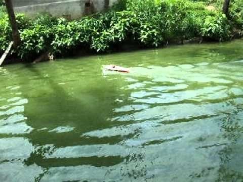 Watch RC Video: 'RC Riva Aquarama remote control boat wooden speed boat model'