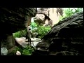 [2/5] La aventura de la humanidad - Australia 4/4