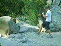 The Summer Of Jump