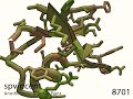 90: Heliomicin
