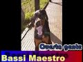 Bassi Maestro ft. Spregiudicati - Questa Gente Bassi Maestro ft. Spregiudicati - Questa Gente
