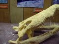 Crocodiles and Alligators at Audubon Zoo