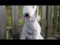 I favorited a YouTube video -- I Will Carry You With Me http://bit.ly/17D017
