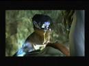 LoK: Defiance Bloopers/outtakes