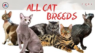 CAT BREEDS ( A - Z ) All TYPES OF CATS IN THE WORLD