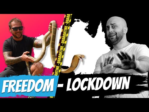 Interview: Freedom vs Lockdown in AU & Why Animals Lunge When Scared with Ross McGibbon