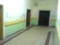 videos de sherrat e Xll-14
