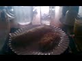 Click here to watch this video Breakfast on the River Inn River Boat