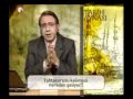 Tahta Kurusu Nedir