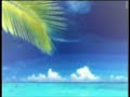 afrilounge - wasser und sonne