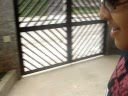 School News.wmv