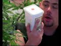 Part 6 Medicinal Cannabis Crop from A-Z