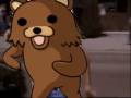 videos de pedo-bear and steven segal