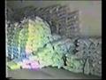 MHAGRIC - Usine détruite au cours de la guerre - Kasongo - Maniema - RDC - Congo - 1
