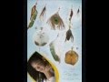 coleção da mata 2008 video mm.wmv