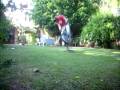 videos de bmx   crash
