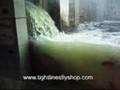 Kewaunee River-Fish Ladder