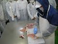 Click here to watch this video 鶏解体の早業