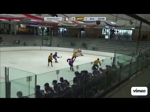 2024 Chicago Cougars highlights