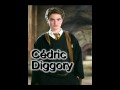 Les Morts Dans Harry Potter