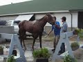 Dominican Receives Post Workout Bath Dominican Receives Post Workout Bath