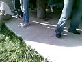 Pasquetta 2