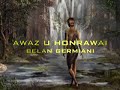 sarmand hawleri sarmand hawleri