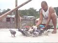 MY PET