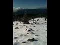Shasta