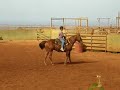 molokai keiki rodeo