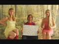 steve poltz fox rox promo