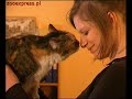 Bezpiecze?stwo naszych Pupili w podró?y ! Bezpiecze?stwo naszych Pupili w podró?y !