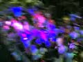 steph-highland-dandi-ugo-madame-butterfly-part5-end-.html