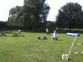 Fun Turnier DogSports&More