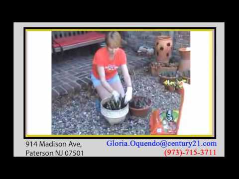 how to transplant bulbs in spring