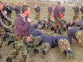 Korps Mariniers Korps Mariniers