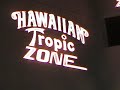sexy-hawaiian-tropic-zone-dancers.html