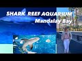 Shark Reef Aquarium At Mandalay Bay Exhibits