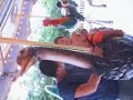 Paul on the carousel at the zoo