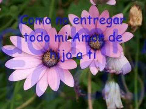 leo dan a la sombra de mi madre