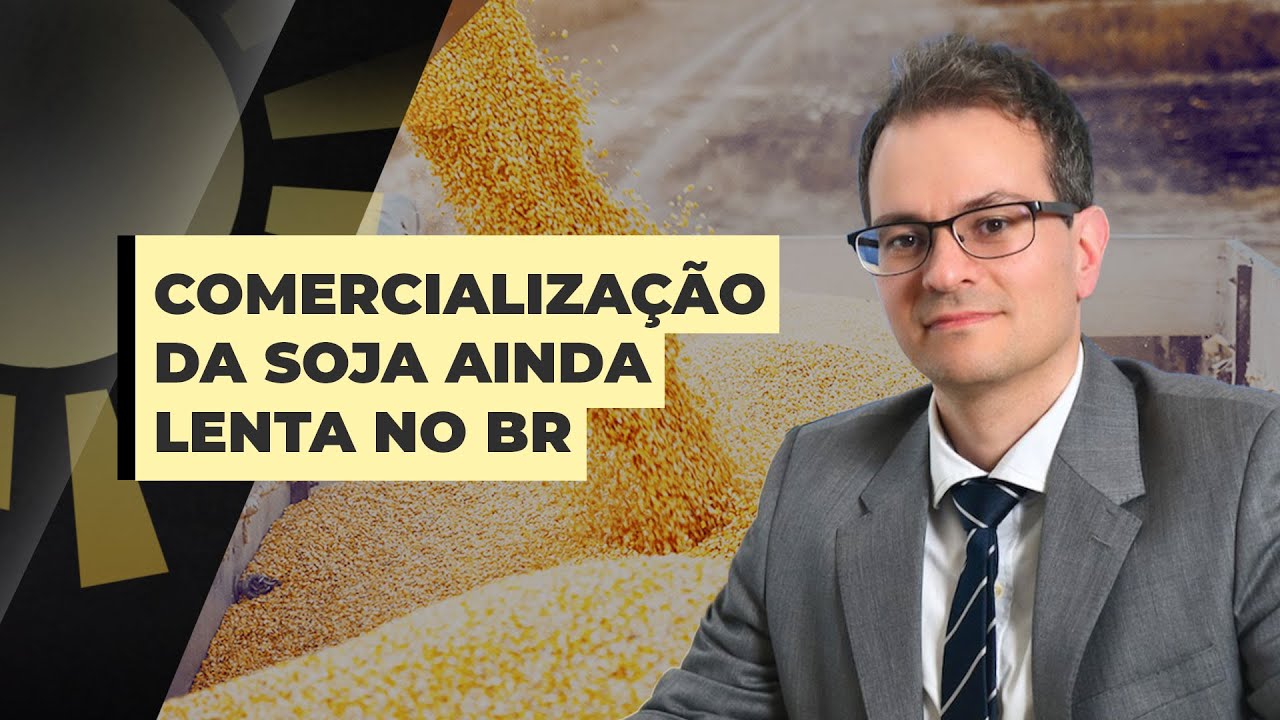 Produtor brasileiro segue contido nas vendas de soja apesar do dólar na casa dos R$ 6,00