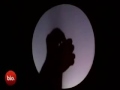 Amazing Hand Shadow show by Raymond Crowe